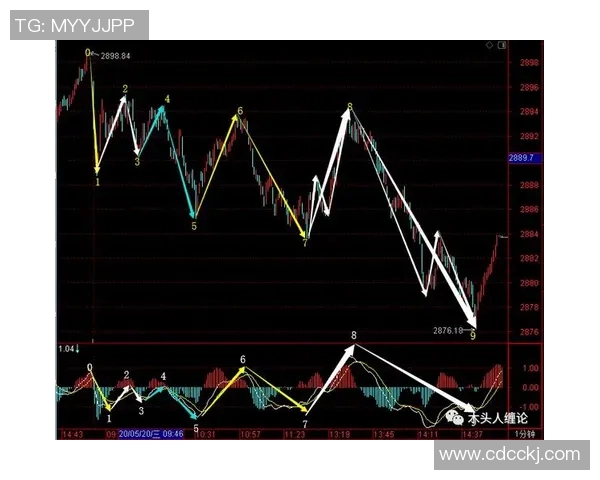 TES战队快攻战术深度解析与实战应用探讨